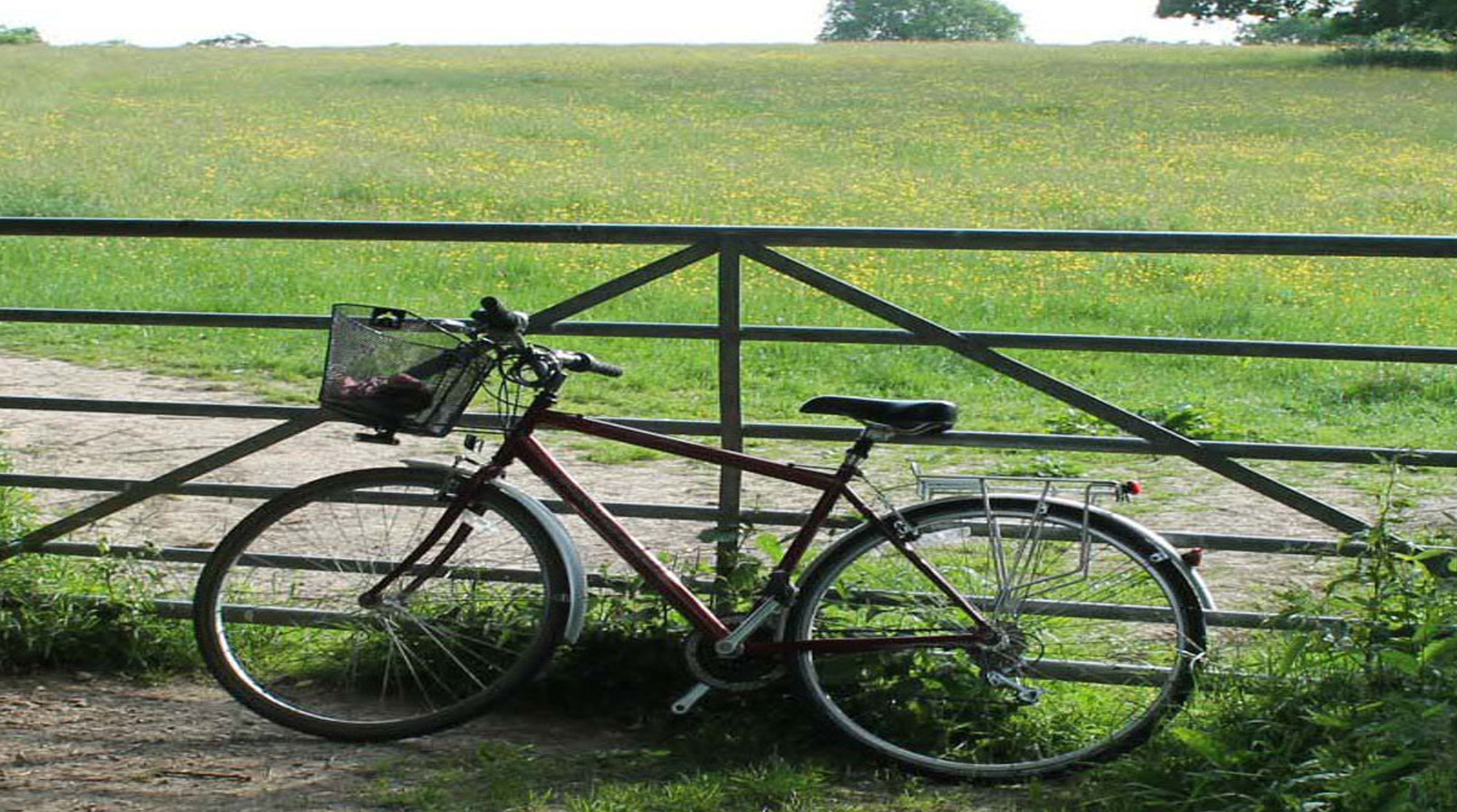 Need Bike Parking?